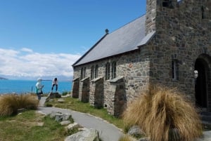 Från Christchurch: Mount Cook & Lake Tekapo – dagstur med lunch