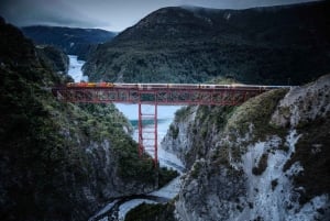 Christchurch: TranzAlpine & Bus Tour to Franz Josef (1-Way)