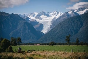 Christchurch: TranzAlpine & Bus Tour to Franz Josef (1-Way)