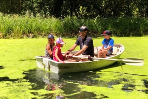 Best Day Tours From Christchurch