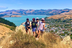 From Christchurch: Walking Tour on Banks Peninsula