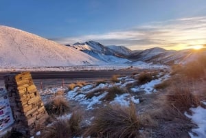 Queenstown: to Christchurch 1 Way Scenic Tour via Mt Cook