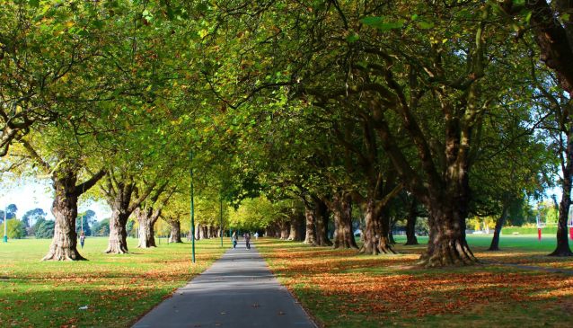 Best Christchurch Parks to Visit