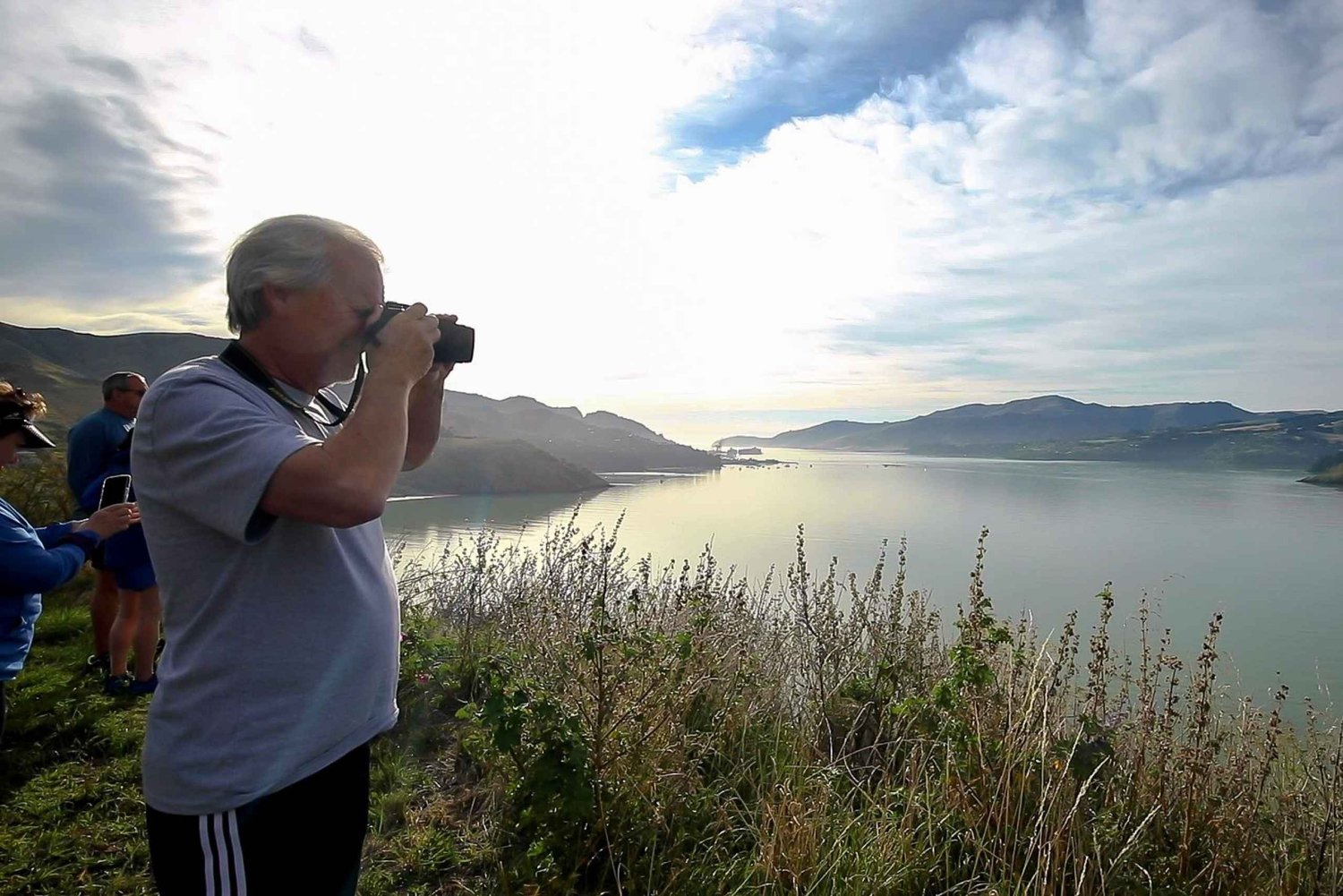 1/2-Day Christchurch Scenic Highlights Small Group Tour