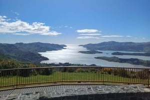 1/2-Day Christchurch Scenic Highlights Small Group Tour