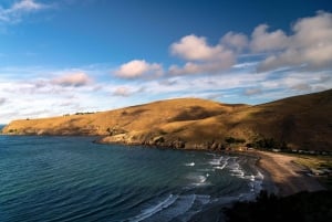 1/2-Day Christchurch Scenic Highlights Small Group Tour