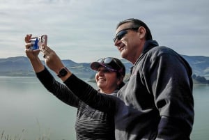 1/2-Day Christchurch Scenic Highlights Small Group Tour