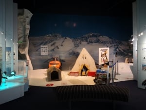 International Antarctic Centre Events