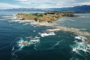 From Christchurch: Kaikoura Day Tour with Dolphin Cruise