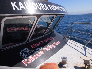 Kaikoura Fishing Tours