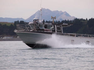 Kaikoura Must Do Activities