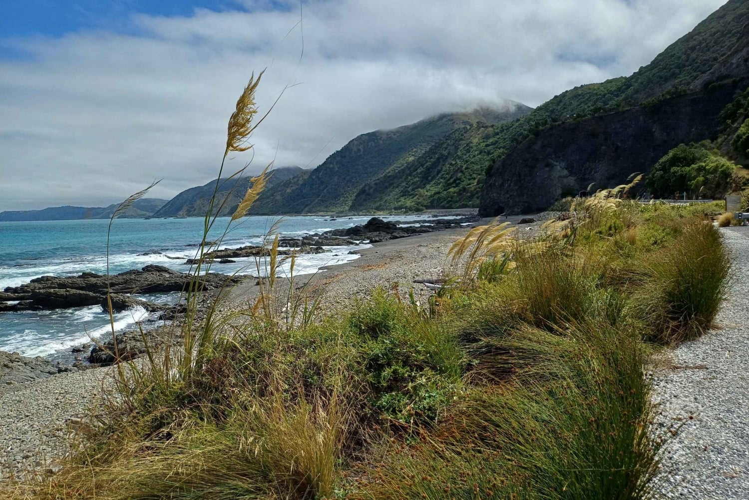 Kaikōura: Tur i lille gruppe – valgfri hval, delfin, zipline