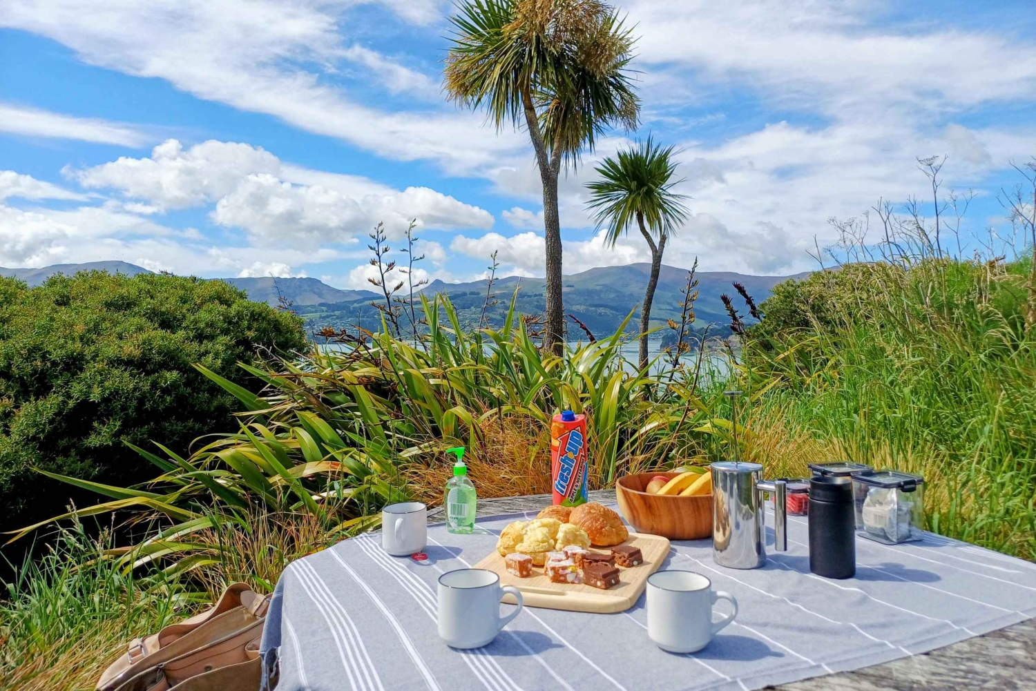 Kaikōura: Tur i lille gruppe – valgfri hval, delfin, zipline