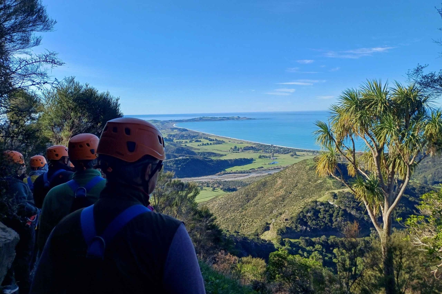 Kaikōura: Tur i lille gruppe – valgfri hval, delfin, zipline