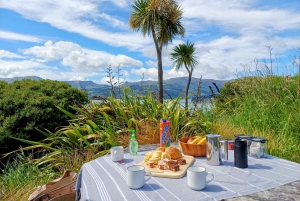Kaikōura: Tur i lille gruppe – valgfri hval, delfin, zipline