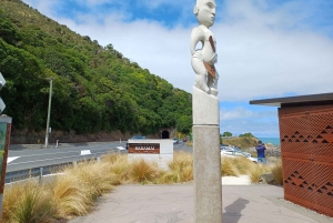 Kaikōura: Tur i lille gruppe – valgfri hval, delfin, zipline