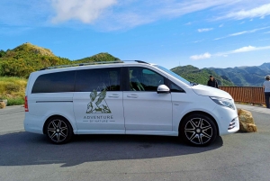 Kaikōura: Tur i lille gruppe – valgfri hval, delfin, zipline