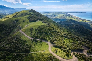 Kaikōura: Tur i lille gruppe – valgfri hval, delfin, zipline