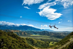 Kaikōura: Tur i lille gruppe – valgfri hval, delfin, zipline