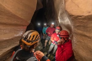 Lyttelton: Shore Excursion, Caving & Castle Hill Rocks