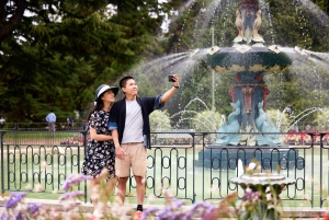 Lyttelton Shore Excursion: Christchurch Highlights & Punting