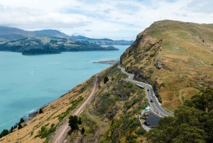 Lyttelton Shore Excursion: Christchurch Highlights & Punting