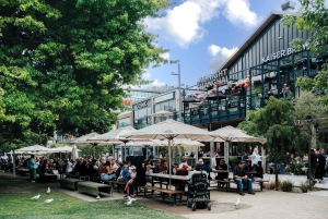 Lyttelton Shore Excursion: Christchurch Highlights & Punting