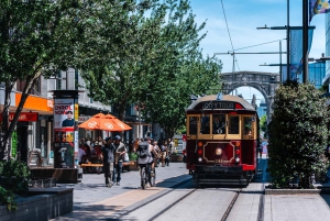 Lyttelton Shore Excursion: Christchurch Highlights & Punting