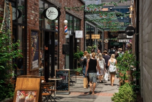 Lyttelton Shore Excursion: Christchurch Highlights & Punting