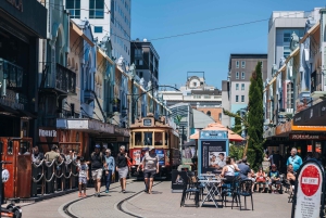 Lyttelton Shore Excursion: Christchurch Highlights & Punting