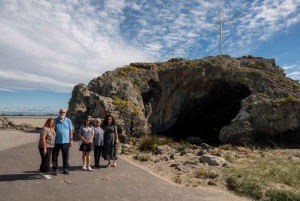 Lyttelton Shore Excursion: Christchurch Highlights & Punting