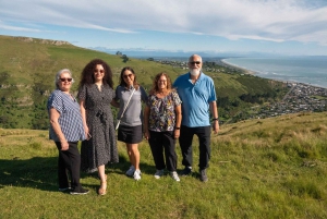 Lyttelton Shore Excursion: Christchurch Highlights & Punting