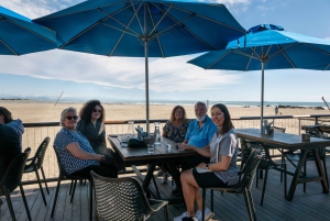 Lyttelton Shore Excursion: Christchurch Highlights & Punting