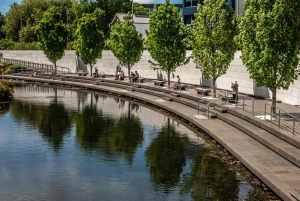 Lyttelton Shore Excursion: Christchurch Highlights & Punting