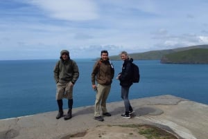 Lyttelton: Shore Excursion, Godley Head, Guided Walk