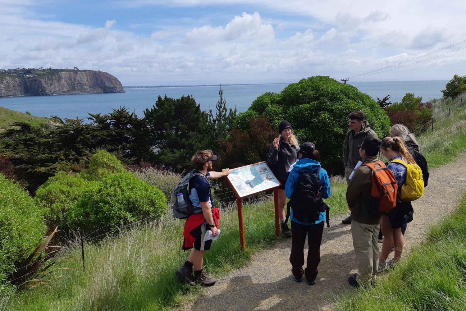 Lyttelton: Shore Excursion, Godley Head, Guided Walk