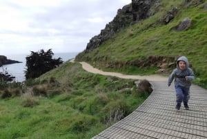 Lyttelton: Shore Excursion, Godley Head, Guided Walk