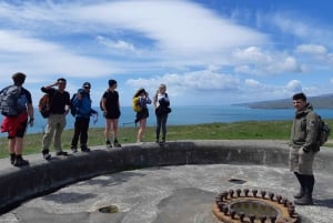 Lyttelton: Shore Excursion, Godley Head, Guided Walk