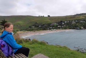 Lyttelton: Shore Excursion, Godley Head, Guided Walk