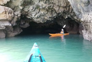 Lyttelton: Shore Excursion, Sea Kayaking, Small Group Tour