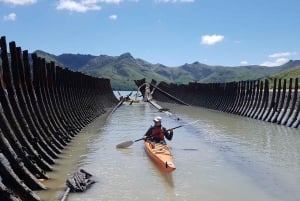 Lyttelton: Shore Excursion, Sea Kayaking, Small Group Tour