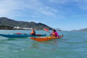 Lyttelton: Shore Excursion, Sea Kayaking, Small Group Tour