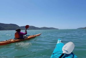 Lyttelton: Shore Excursion, Sea Kayaking, Small Group Tour