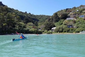 Lyttelton: Shore Excursion, Sea Kayaking, Small Group Tour