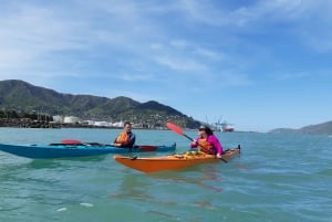 Lyttelton: Shore Excursion, Sea Kayaking, Small Group Tour