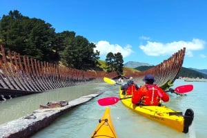 Lyttelton: Shore Excursion, Sea Kayaking, Small Group Tour