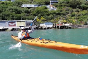 Lyttelton: Shore Excursion, Sea Kayaking, Small Group Tour