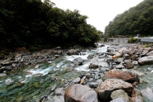 Milford Sound, Mount Cook et plus encore : Circuit de 4 jours au départ d'Auckland