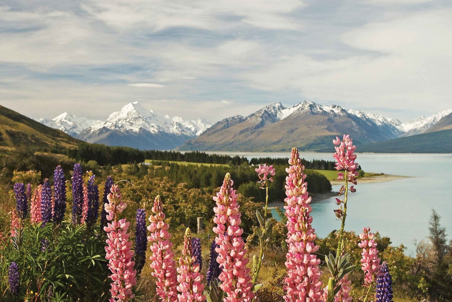 Mt. Cook Day-Tour: Christchurch to Queenstown