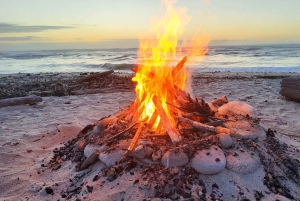 Nieuw-Zeeland: 17-daagse rondreis met gids op het Zuidereiland met kamperen
